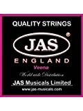JAS Saraswati Veena string set