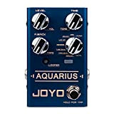Joyo R-07 Aquarius Delay/Looper, ottieni 8 effetti ritardi digitali + 5 minuti di loper in un unico pedale