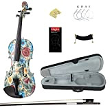 Kinglos 4/4 Bellezza Freddo Colorato In Legno Massello Violino Kit Raccordi Ebano - LY1102