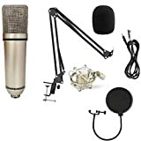 LTBXB Microfono Home Studio Microfono a condensatore Newman è Adatto per la Registrazione di Computer Podcast Giochi Microfono a condensatore ...