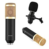 Microfono a Condensatore Cardioide BM-900, Set Microfono Professionale per Radiodiffusione da Studio con Supporto Antiurto, Cappuccio in Schiuma, Cavo di ...
