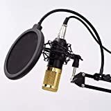 Microfono a condensatore Net Red Live Broadcast Equipment Set Computer Recording Anchor Microphone K Song Sound Microfoni vocali