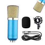 Microfono a Condensatore Professionale cardioide, BM-700 Microfonos con 3,5 mm XLR/Pop Filtro,Broadcast/Studio Audio Registrazione Microfono, microfono Attacco Shock. (blue)