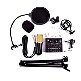 MLYWD Microfono a Condensatore, Mic Cardioide USB con Diaframma da 24 mm/Braccio Asta Aggiornato/Supporto Antiurto Spider per Streaming, Registrazione, Gioco, ...