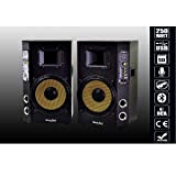 OISE ART STORE Trade Shop - Coppia Casse Audio USB Bluetooth per Karaoke Dj Extreme Sound Maxtech Cx-2s10u-b -