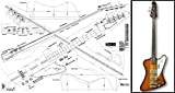 Plan of Gibson Thunderbird - Basso a 4 corde, stampa su scala completa