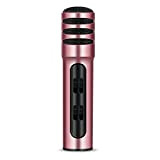Portable Mic DFGT BGN-C7 microfono a condensatore a doppio del telefono mobile Karaoke dal vivo di canto microfono built-in scheda ...