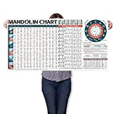 Poster Accordi Mandolini - Accordi per Mandolini - Scale per Mandolini - Circolo delle Quinte - Teoria Musicale - Progressione ...