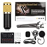 Professional V8 XLR Condenser Microphone,BM-800 Mic Kit With Live Sound Card, With Adjustable Suspension Scissor Arm,Metal Shock Mount And Double-Layer ...