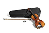 PURE GEWA Violino Set HW in Legno Massiccio 4/4 Pronto per Giocare con Mentoniera, Cordiera con Tiracantini, Archetto, Colofonia, Astuccio ...
