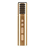 PUSOKEI Microfono Capacitivo, Microfono a condensatore USB per Windows e Mac, Mic Podcasting vocale per conferenza Karaoke, Microfono Capacitivo cablato ...