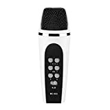 PUSOKEI Microfono Mini Voice Changer a 4 modalità, Microfono Portatile con Jack da 3,5 mm, Cambia Voce Portatile in Tempo ...
