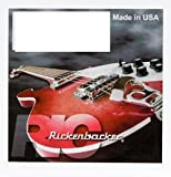 Rickenbacker Light + Guitar Set