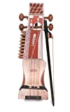Sarangi un classico strumento Bowed dell' India