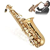 Sassofono contralto professionale in ottone mib Sassofono contralto in mi bemolle con accessori per bocchino Attrezzatura per strumenti musicali(Oro)