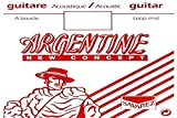 Savarez Corde per chitarra acustica Argentine corde singole E1/Mi1-1011 con fine ciclo