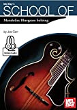 School of Mandolin: Bluegrass Soloing (English Edition)