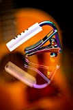 Shubb Capo® »C1P ROYALE PAUA PEARL - STEEL STRING« Capotasto per chitarra elettrica e acustica - Colore: Paua Pearl