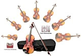 Sinfonie24 set per violino misura 1/4, realizzato da liutaio di Amburgo, adatto ai bambini, suono vivace, caldo, pieno, custodia (Plus ...