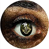 Slipmat Slip Mat Scratch Pad Feltro per qualsiasi 12" LP DJ Vinyl Giradischi Giradischi Grafica personalizzata - Reptilian Eye