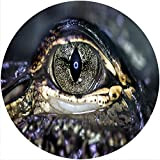 Slipmat Slip Mat Scratch Pad Feltro per qualsiasi 12" LP DJ Vinyl Giradischi Giradischi Grafica personalizzata - Eye Crocodile 2