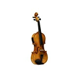 STAGG VN-4/4 ELEC 4/4 - Set di violino elettrico acustico