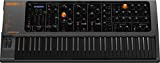 Studiologic Sledge 2 - Sintetizzatore con tastiera semi ponderata a 61 tasti, colore: Nero