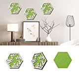 SUPERDANT 3 Confezioni Hexagon Art Pannelli Acustici Albero Verde Feltro Ritaglio Design Pannelli di Parete Insonorizzati in Legno Pannelli Fonoassorbenti