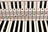 Tabella note per pianoforte e tastiera, utilizzare dietro i tasti, strumento visivo ideale per principianti che apprendono pianoforte o tastiera, ...
