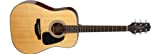 Takamine G Series Dreadnought Solid Top chitarra acustica lucida naturale