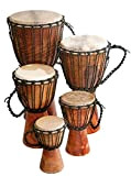 Tamburo Djembe principianti Mogano oliato 50 cm Capra Ø 22 – 24 cm Africa Drum mondo musica Percussion
