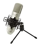 TASCAM TM-80, Microfono Professionale a Condensatore per Home Studio Recording per voce e strumenti acustici, Argento