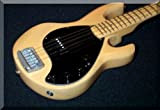 Tony Levin miniature Guitar Stingray Bass