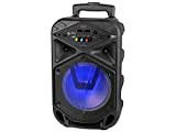 Trevi XFest XF 350 Altoparlante Amplificato Portatile Trolley 15W, USB, Micro SD, AUX-IN, Bluetooth, Batteria Integrata, Karaoke Party Speaker con ...
