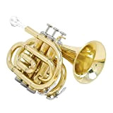Tromba Tascabile Strumenti Musicali A Tromba Tascabile con Bocchino con Tromba in Ottone Piatto in SIB per Studenti Principianti