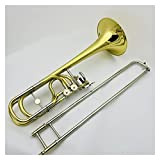 TST Strumento Musicale Professionale in Ottone BB/F A Doppio Pistone Trombone BB/F Trombone principiante
