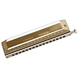 VGOWNRE LAY-KQ Chromatic Harmonica 16 Foro 64 Tone Bocca Organo Instrumentos Chiave di C Strumenti Musicali Professionali ABS Pettine KQ-L ...