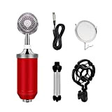 WFWJSKJ Kit Microfono condensatore BM-8000 Kit da 3,5 mm Recording Mic Chatting Canto Mikrafon con Set di microfoni a treppiede ...
