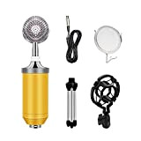 WFWJSKJ Kit Microfono condensatore BM-8000 Kit da 3,5 mm Recording Mic Chatting Canto Mikrafon con Set di microfoni a treppiede ...