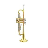 WYKDL Tromba con Peluche-Allineato Caso Trumpet Trumpet Professionale Giù B Vernice Tono Oro Piccolo Strumento Migliore