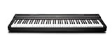 Yamaha P-125 Pianoforte digitale portatile, sottile, dinamico e potente, per hobbisti e principianti, nero