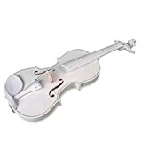 YANGMAN Violino Elettrico, Violino 4/4 Full Size Violino in Legno Massello Kit Violino Acustico per Principianti Professionisti con Custodia Rigida ...