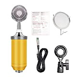 YEZIN Microfono BM-8000 Scheda Audio cablata Studio Studio Recording Condenser Microfono Karaoke Karaoke Kit Microfono condensatore for Computer Vocal (Color ...