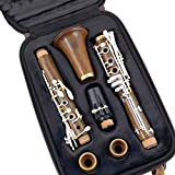 ZENGXUE Student clarinetto Clarinetto Professionale in Legno Cocobolo Tasti Placcati in Argento BB SIB KLARNET (Color : Guatamalense)