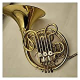 ZUOMU Corto Francese B/F 4 Key Gold Double Row Brass Body Professional Strumenti Musicali con Custodia Corno Francese Professionale