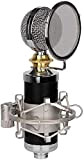 ZYF Microfono Karaoke Microfono, Rete Mobile Phone National K Song Ancoraggio Anchor Live Recording Microfono condensatore